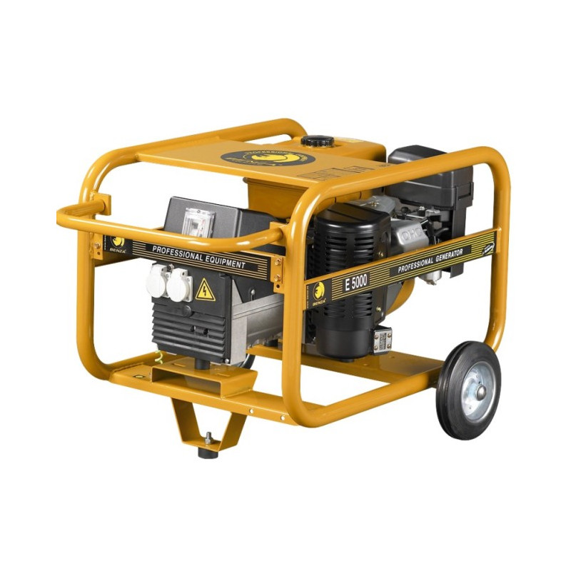 GROUPE E 5000 BENZA ESSENCE PLATINE AVR