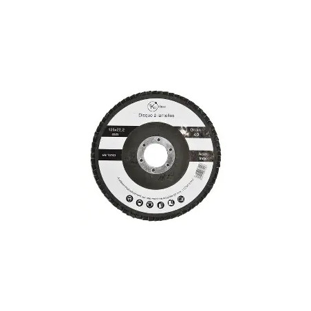 DISQUE D 125 LAMELLE GR 40 ACIER